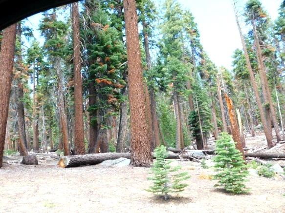 2343533F577219210E30BD