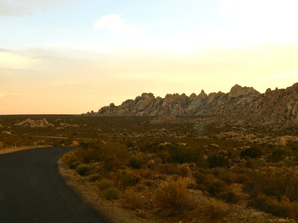 2308173C577B02E7317AAD