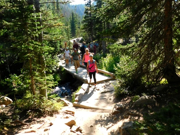 9916744E5B7266E92EFEEA