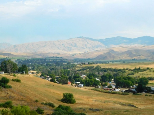 99D0133359A9EBB4254988