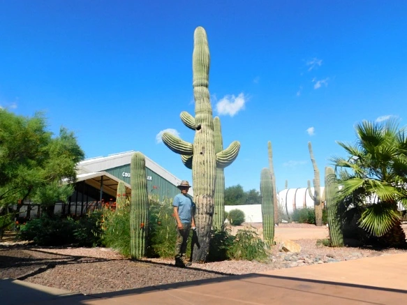 998FEE3359C87C212062B9