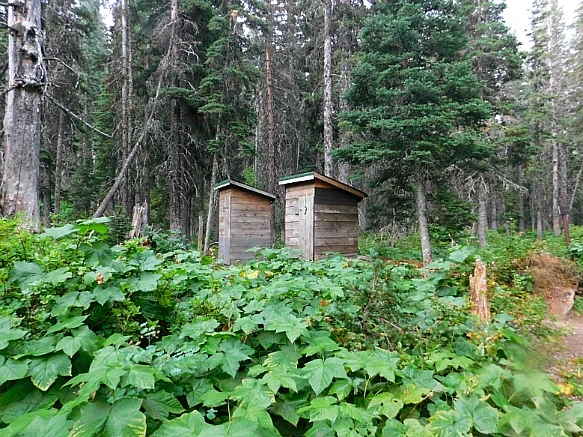 99EE2C505B8CA03904B593