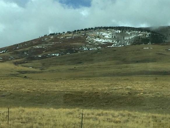 245681385705B1D11785D5