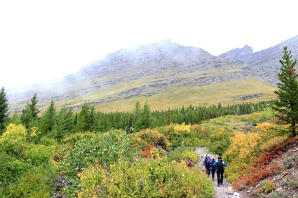 999103445BA30DF821B2A4