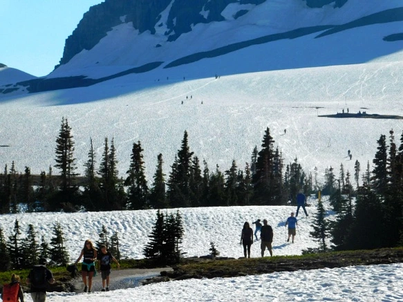 998CD84E5B3457682A5F1B