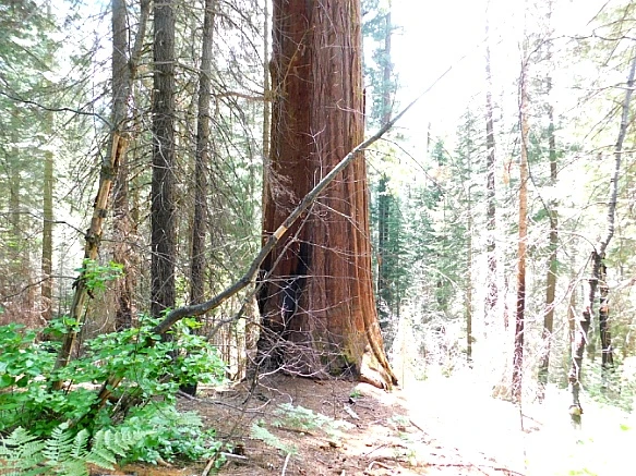 2332274457736C212E176D