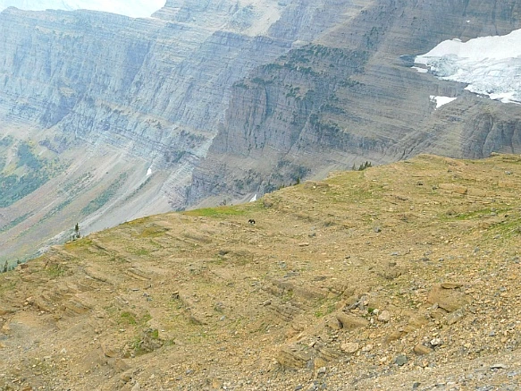 991753445BA05E0F135D40