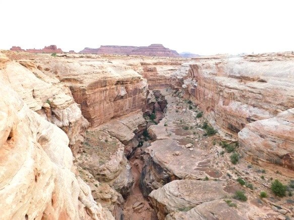 9971E13359B5E6F91653F4