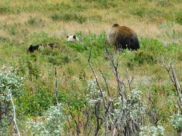 99D4B3455B8F3A98312E2B