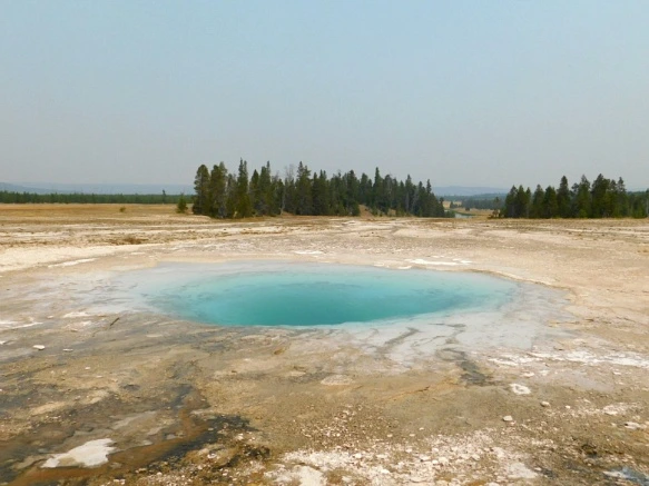 994D0E3359AF0E0A27AE5A