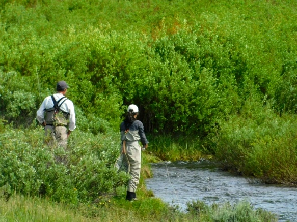 9938CE465B39A57722AE99