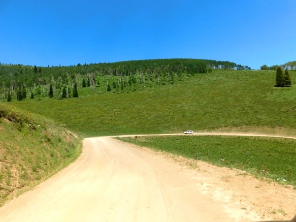 276C8047595C2CD1127E46