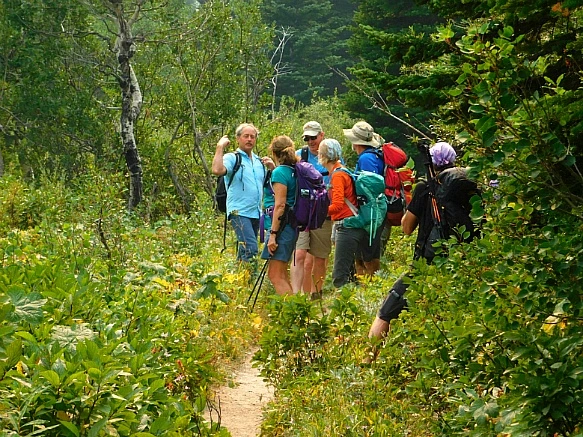 99CB42435B8755E41C2DD7