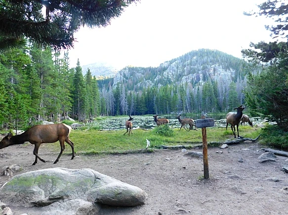 994C5B4D5B72690D39BEF7