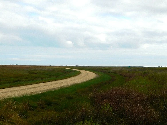 99F7D9385BF9F9E208E4F1