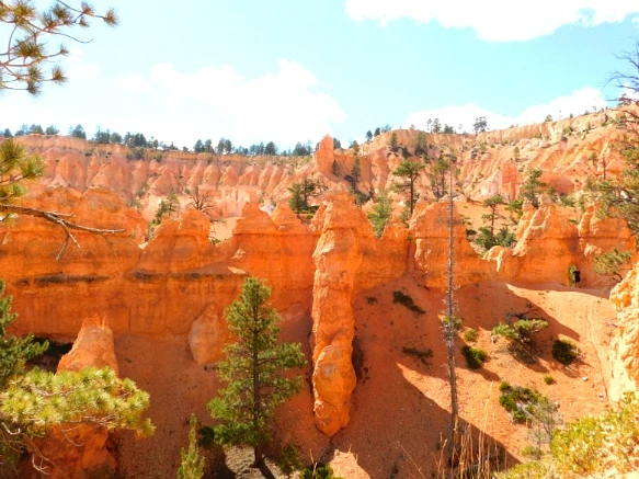 9987C33359B87AF21D96B3