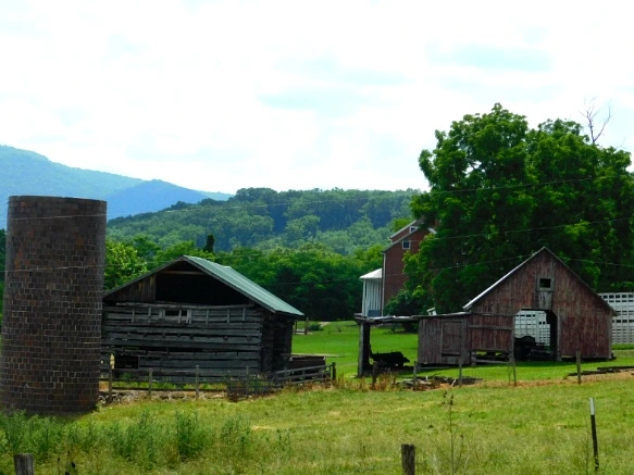 2447FA3D594C772705B784