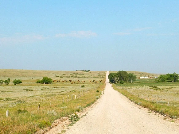 990514455B7655E32F43F7