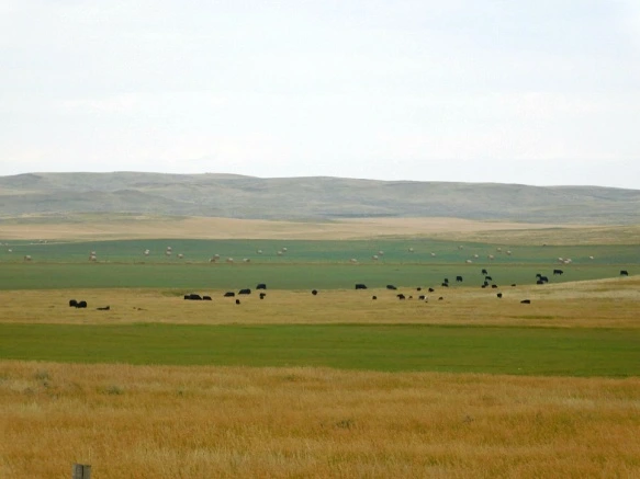 99A97B435B77A3FD38C30A