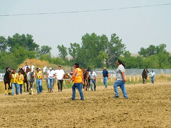 99E21B335B7D95531659C7