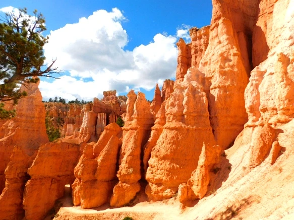 99476D3359B9B91918893E