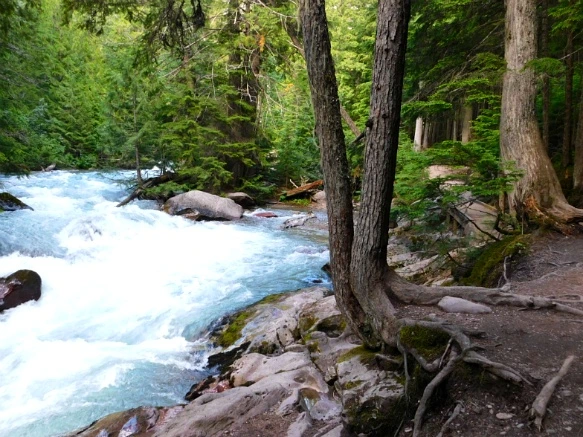 99F051475B3813A7048D3D