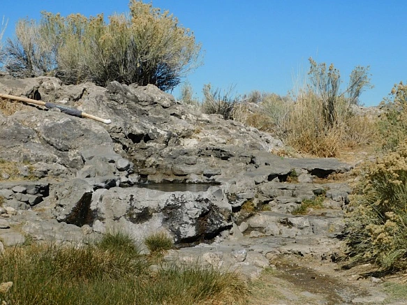 995DFD3D5BD3E9D305A9BC