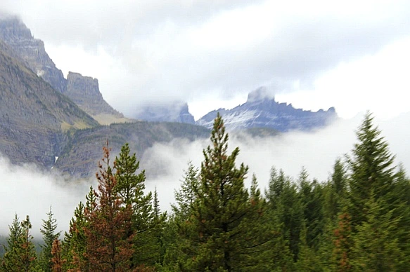 999094445BA30DF033F440