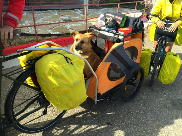 2719C747571C41C50585F7