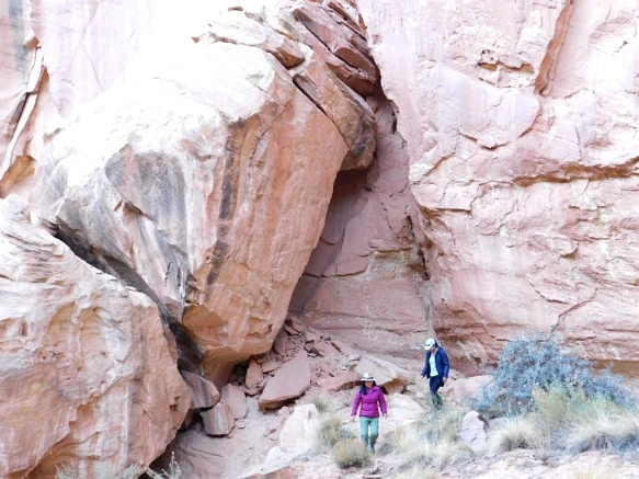 992076335A13BB2B20CCD4