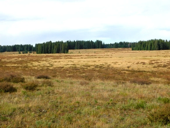 992D283359BF4A8C0206B1