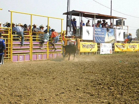 991A21365B7DA04F054D3B