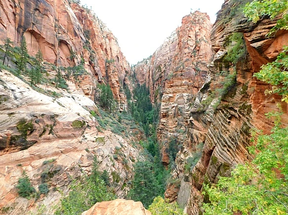 99B0A04B5BC695891A27D4