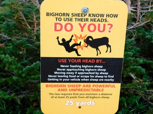 99D0363359A1050910F23D