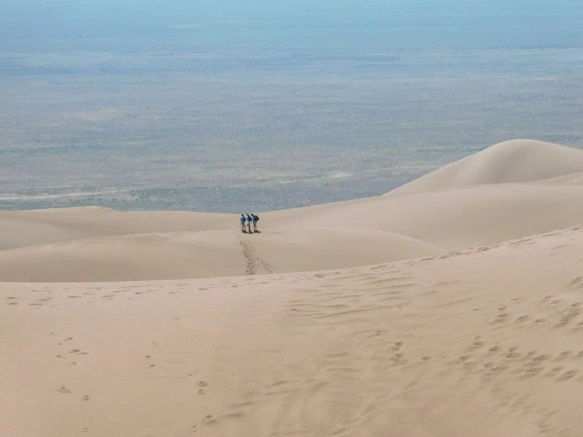 99E70A4A5B69237235555E