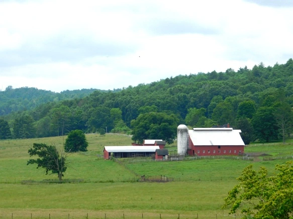 2313473D594C91AA1A897B