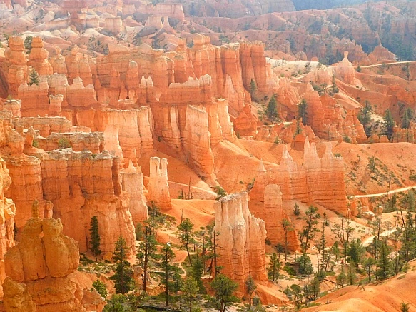 991C894A5BC56CA4322827