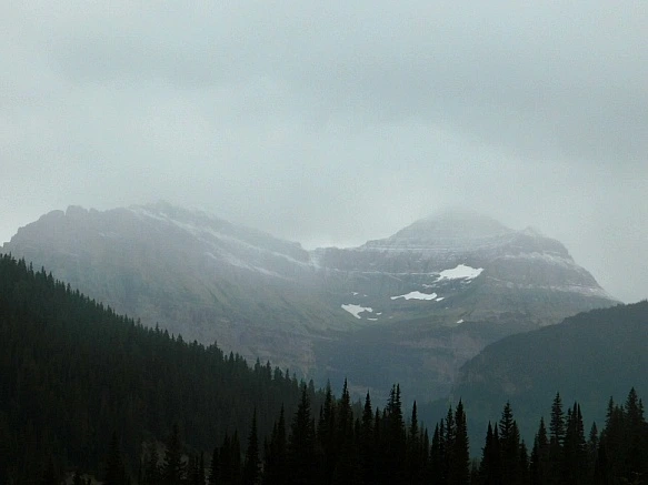 99DA77445B8DC3B80695E8