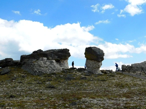 9912674C5B6E6A6319816D