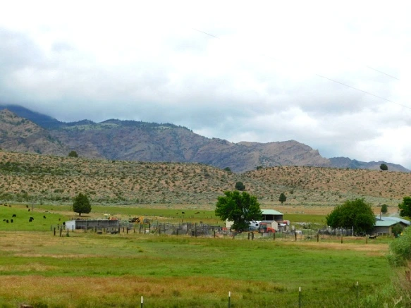 9998854A5B2DDE0A1698C6