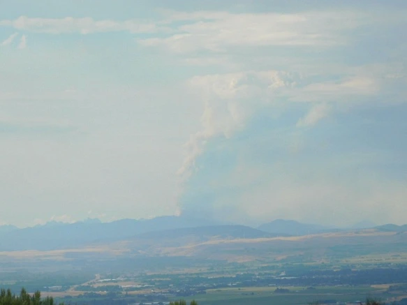 9969263359A38343303566