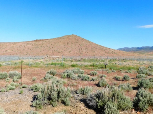 236401505932068D1BC536