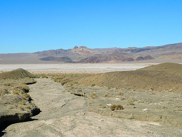 99F269385BD1328914A4B7