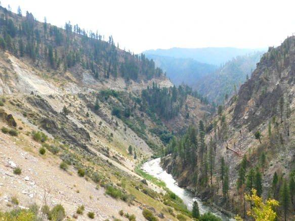 9981E13359A9EBCA228E23