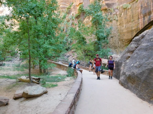 995D9A3359BB12D333C5C0