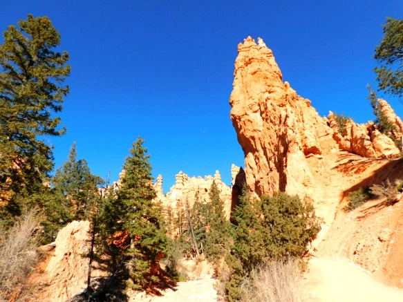 99B9A2335A1A38A728F585