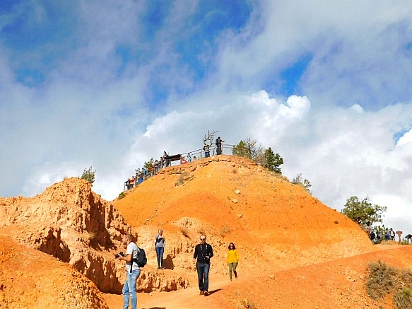 999B5D425BC56B062F1CBB