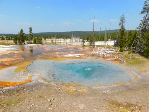 997A5A3359ADFB0A2197EB