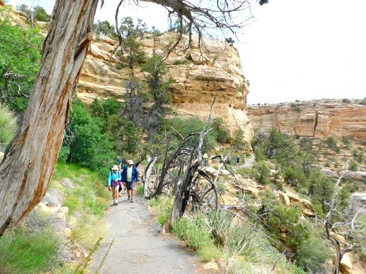 245A594657622AB124A439