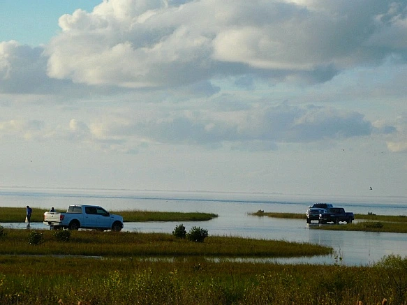 9954903F5BF9FC390A63B5